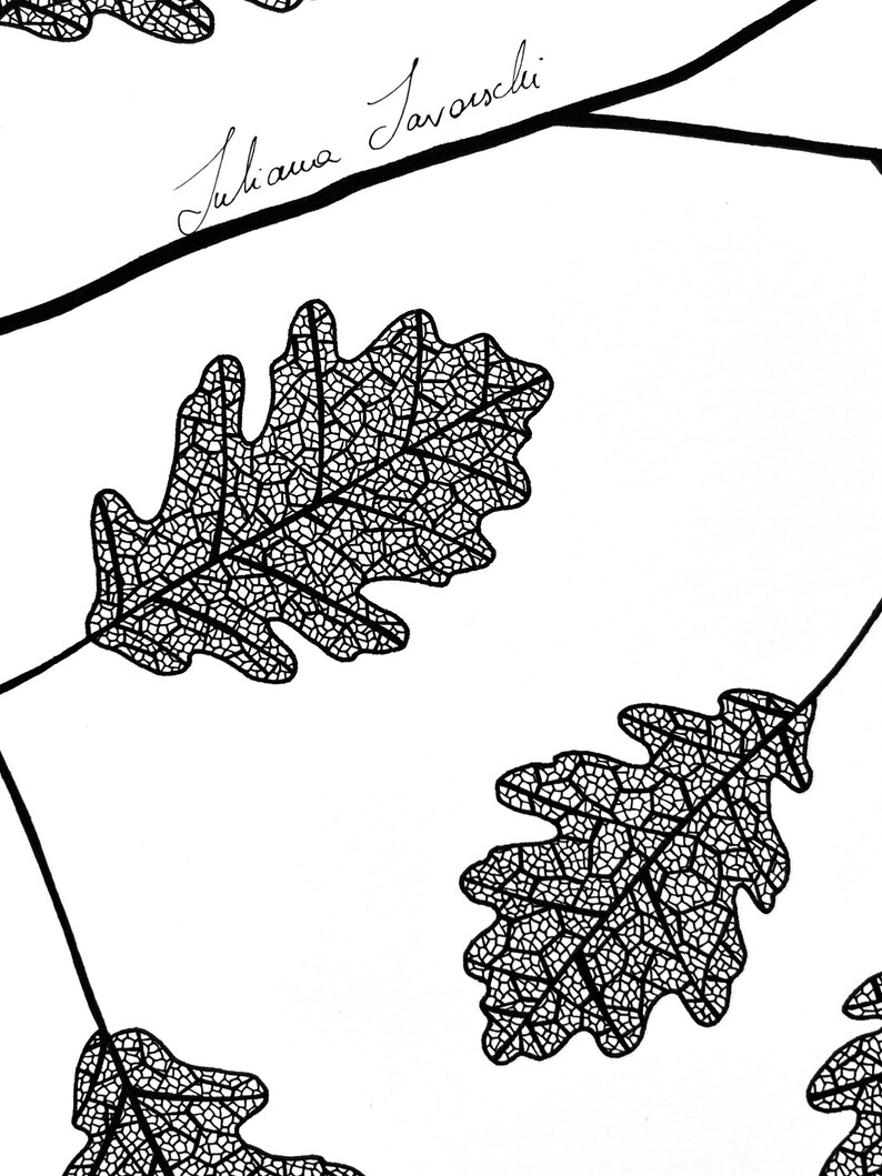Pu&ograve; includere: Un'illustrazione a tratto in bianco e nero che presenta foglie di quercia dettagliate con intricati motivi venati. Il disegno include rami sottili che collegano le foglie e la firma manoscritta Juliana Javorski in inchiostro nero su sfondo bianco.