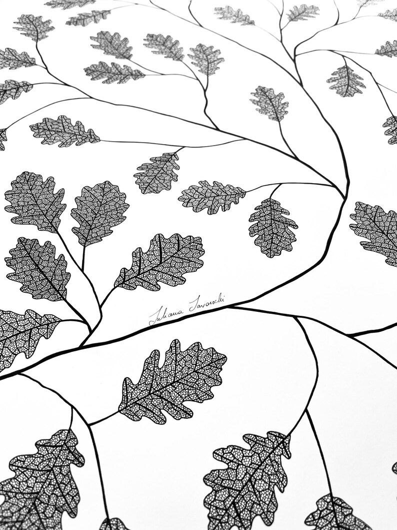 Pu&ograve; includere: Un disegno a inchiostro bianco e nero su sfondo bianco che raffigura una rete di rami sottili e curvi adornati con foglie di quercia dettagliate. Ogni foglia mostra un complesso motivo a venature. La firma Juliana Savoski &egrave; visibile.