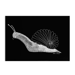 May include: A white line art illustration of a snail against a solid black background. The snail body features a detailed cross-hatched texture, while the shell is composed of repeating, overlapping circular loops. A signature is visible at the bottom.