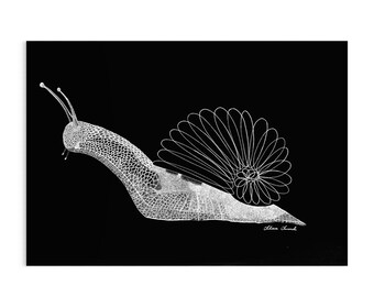 Wavering Balance, Original Drawing, Handmade, Playful Snail, Childhood, Lighthearted Play, Harmony with Nature, Fibonacci