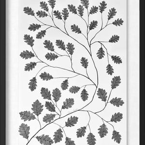 Pu&ograve; includere: Una stampa artistica in bianco e nero incorniciata che presenta un'illustrazione botanica dettagliata di rami di quercia con intricati motivi di venature delle foglie. L'opera &egrave; presentata su uno sfondo bianco all'interno di una sottile cornice nera, mostrando un motivo ripetitivo di fogliame organico.
