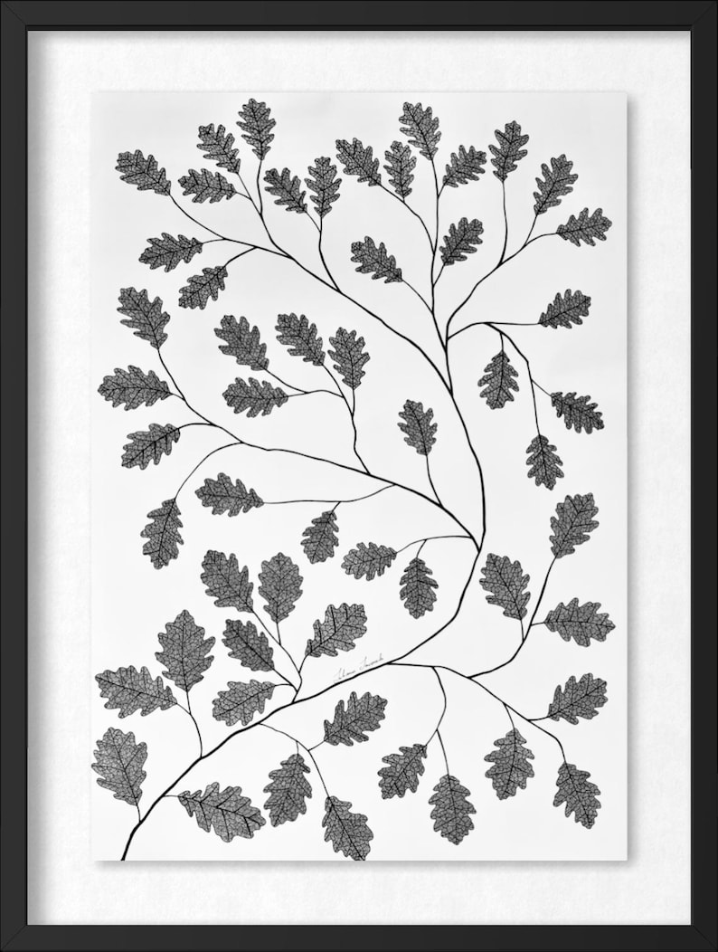 Pu&ograve; includere: Una stampa artistica in bianco e nero incorniciata che presenta un'illustrazione botanica dettagliata di rami di quercia con intricati motivi di venature delle foglie. L'opera &egrave; presentata su uno sfondo bianco all'interno di una sottile cornice nera, mostrando un motivo ripetitivo di fogliame organico.