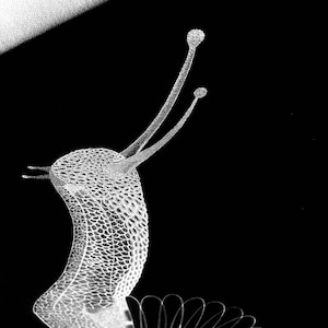 May include: A high-contrast, black and white graphic illustration of a snail. The snail's body features a detailed, textured, scale-like pattern, while its shell is depicted with a series of delicate, radiating, thin white lines.