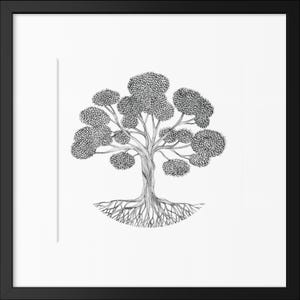 May include: A black and white ink drawing of a tree with a thick, textured trunk and exposed roots, centered within a square white mat and a thin black frame. The tree features multiple rounded clusters of leaves rendered in fine line work.