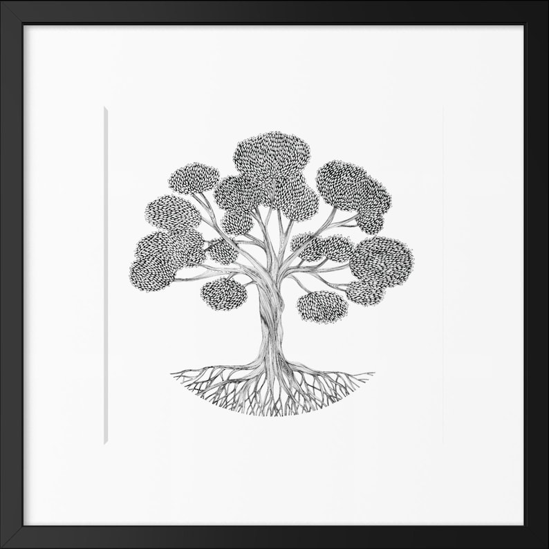 May include: A black and white ink drawing of a tree with a thick, textured trunk and exposed roots, centered within a square white mat and a thin black frame. The tree features multiple rounded clusters of leaves rendered in fine line work.