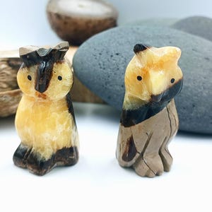 Può includere: Due statuette di gufo scolpite. I gufi sono fatti di un materiale di pietra con un mix di colori giallo, marrone e nero. I gufi hanno grandi occhi e sono in piedi. Lo sfondo include rocce e un oggetto sfocato.