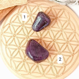 Peut inclure: Deux cristaux violets polis reposent sur une surface en bois avec un motif géométrique. Un paquet de sauge blanche et un morceau de palo santo sont également présents. Les cristaux sont numérotés 1 et 2.