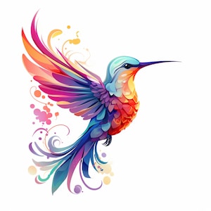Hermoso colibrí, colibrí PNG, descarga rápida de colibrí, colibrí colorido, clipart de colibrí, pájaro colorido