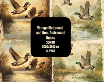 Vintage Ducks In An Outdoor Setting|Vintage Ducks Distressed Style|cute ducks - 4 PNG's Total - 300 DPI 5000x5000 px
