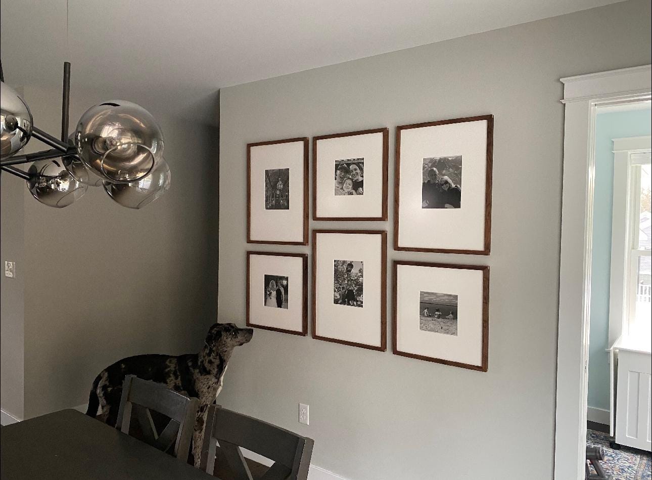 Gallery Frame Display | Solid Hardwood Walnut Maple Splines Bundle of 6