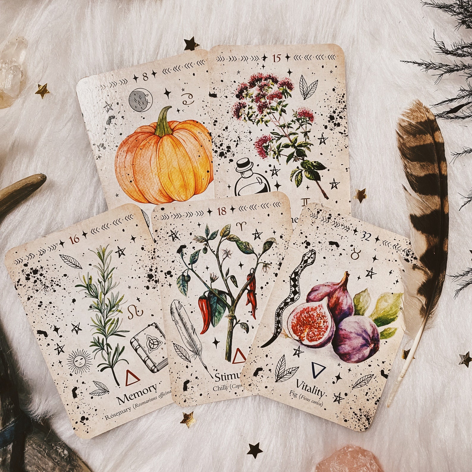 Green Witch Oracle Card Deck Etsy
