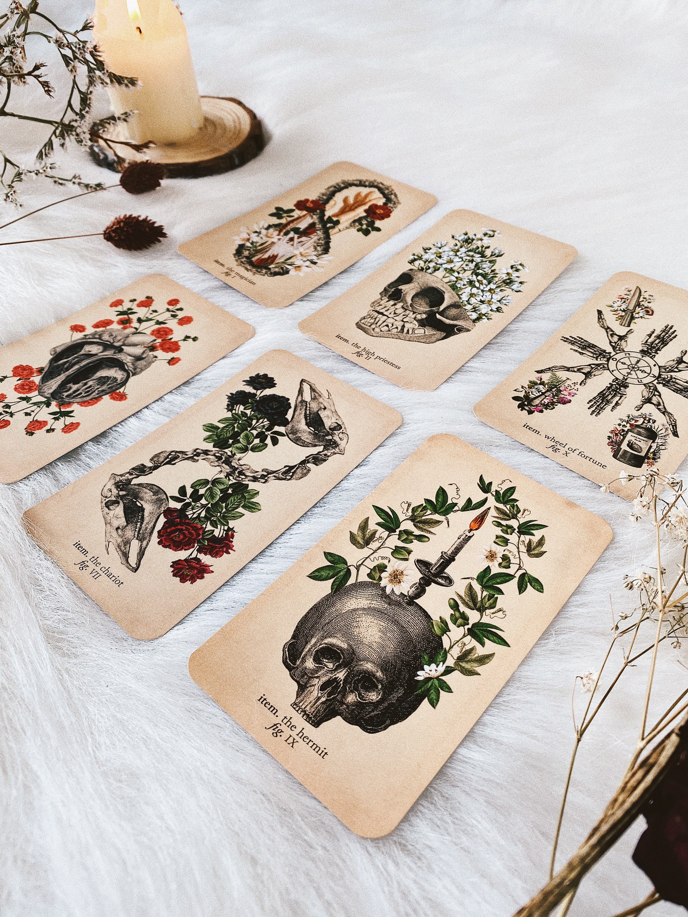 The Modern Tarot Reader Tarot Deck with Book Minor & Major Etsy