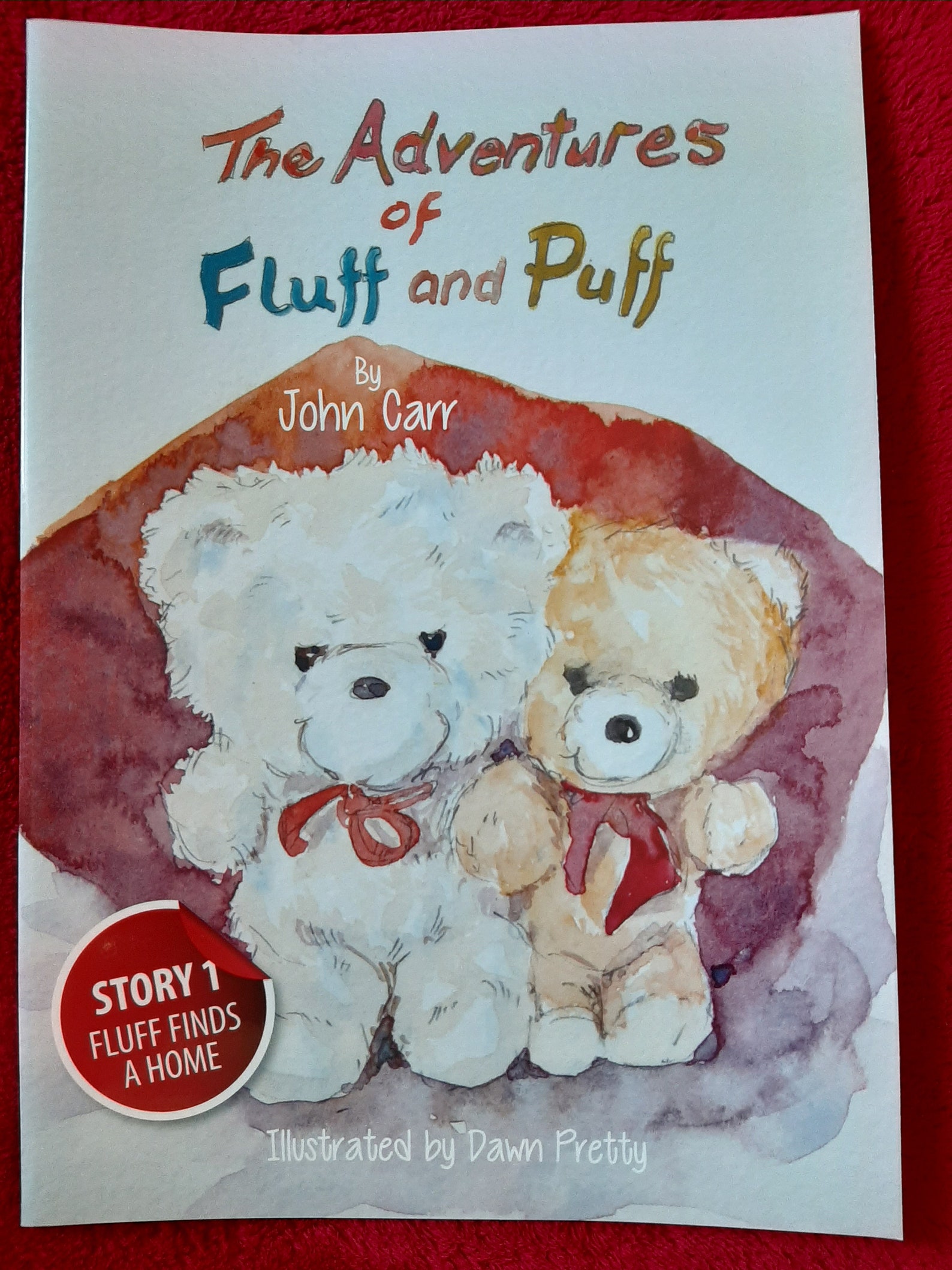 The Adventures of Fluff and Puff Story 1 Fluff Finds a Home. Etsy