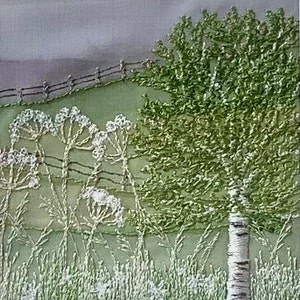 Silver birch with cow parsley