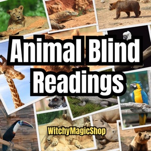 Lectura a ciegas con orientación animal: revelando el poder de los espíritus animales en una experiencia sin preguntas