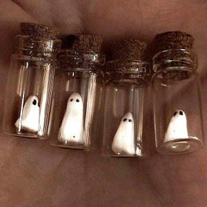 Miniature Ghosts in a Bottle: Custom Made to Order zdjęcie 1