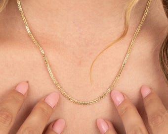 14K Gold Spiga Chain Necklace