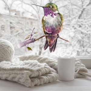 Hummingbird Window Stickers, Anti Bird Strike Window Stickers, Double Sided Bird Window Stickers, Static Cling Window Stickers, Bird Sticker