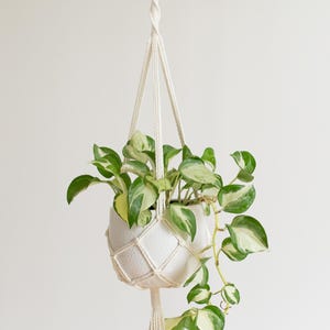 Op de afbeelding: Een witte macrame plantenhanger met een witte keramische pot en een groene en witte bonte plant die eraan hangt.