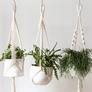 Peut inclure: Trois suspensions de plantes en macramé blanc avec des pots en céramique blanche et des plantes vertes suspendues au plafond.