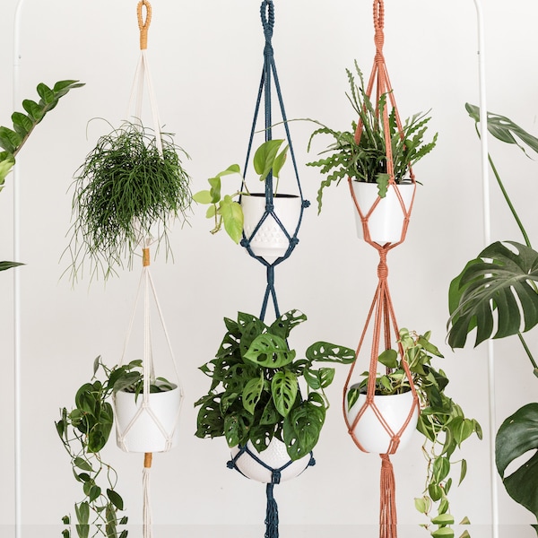 Double Suspension pour Plantes en Macramé, Porte plante pour Deux Plantes, Décoration d'Interieur Bohème