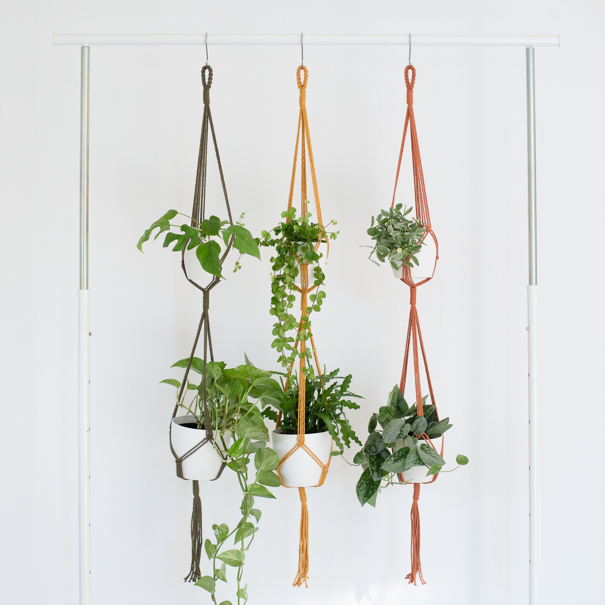 Double Suspension Minimaliste Pour Plantes - Macramé Porte-Plante Deux Décoration d'interieur Bohème