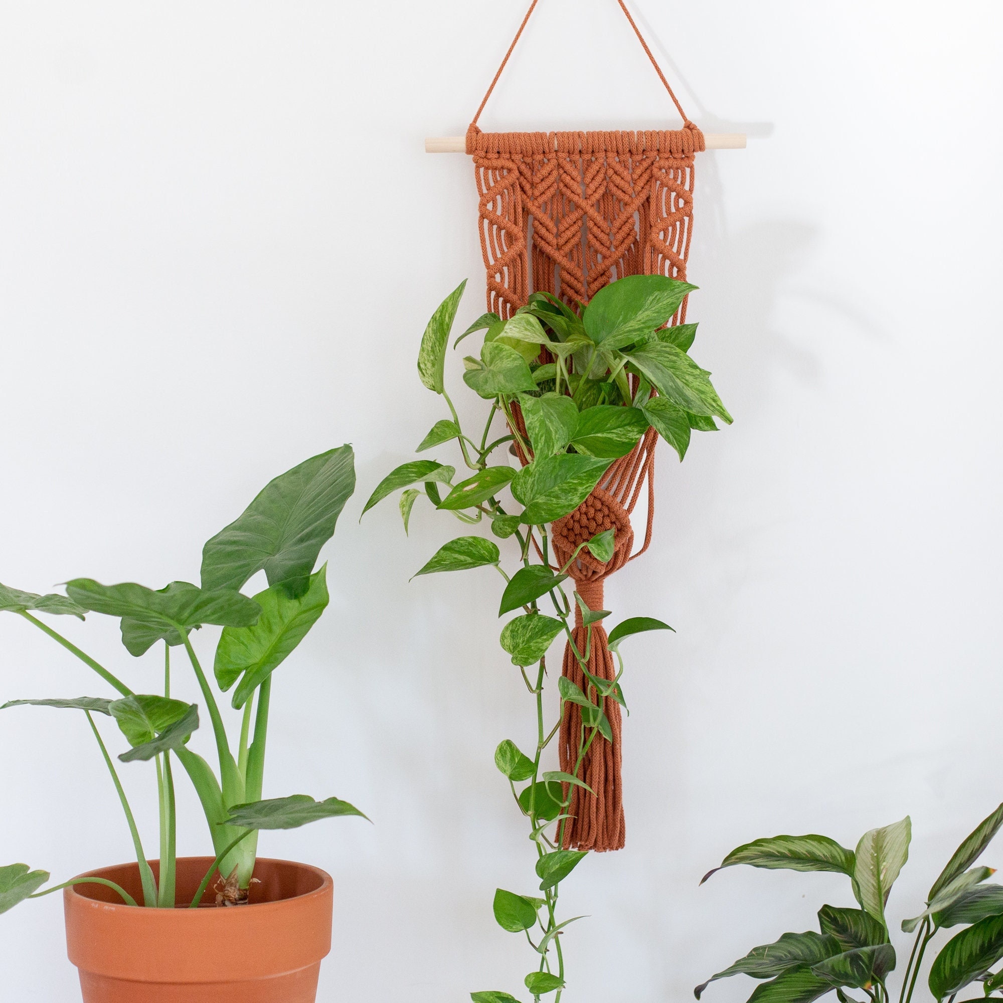 Décoration Murale Géometrique Terracotta - Suspension Pour Plantes en Macramé Support Cintre -Décora