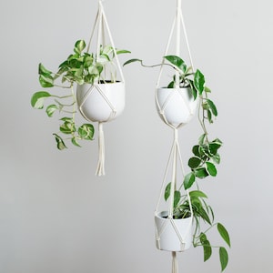 Minimalist macrame plant hanger, single or double, available in 5 colors