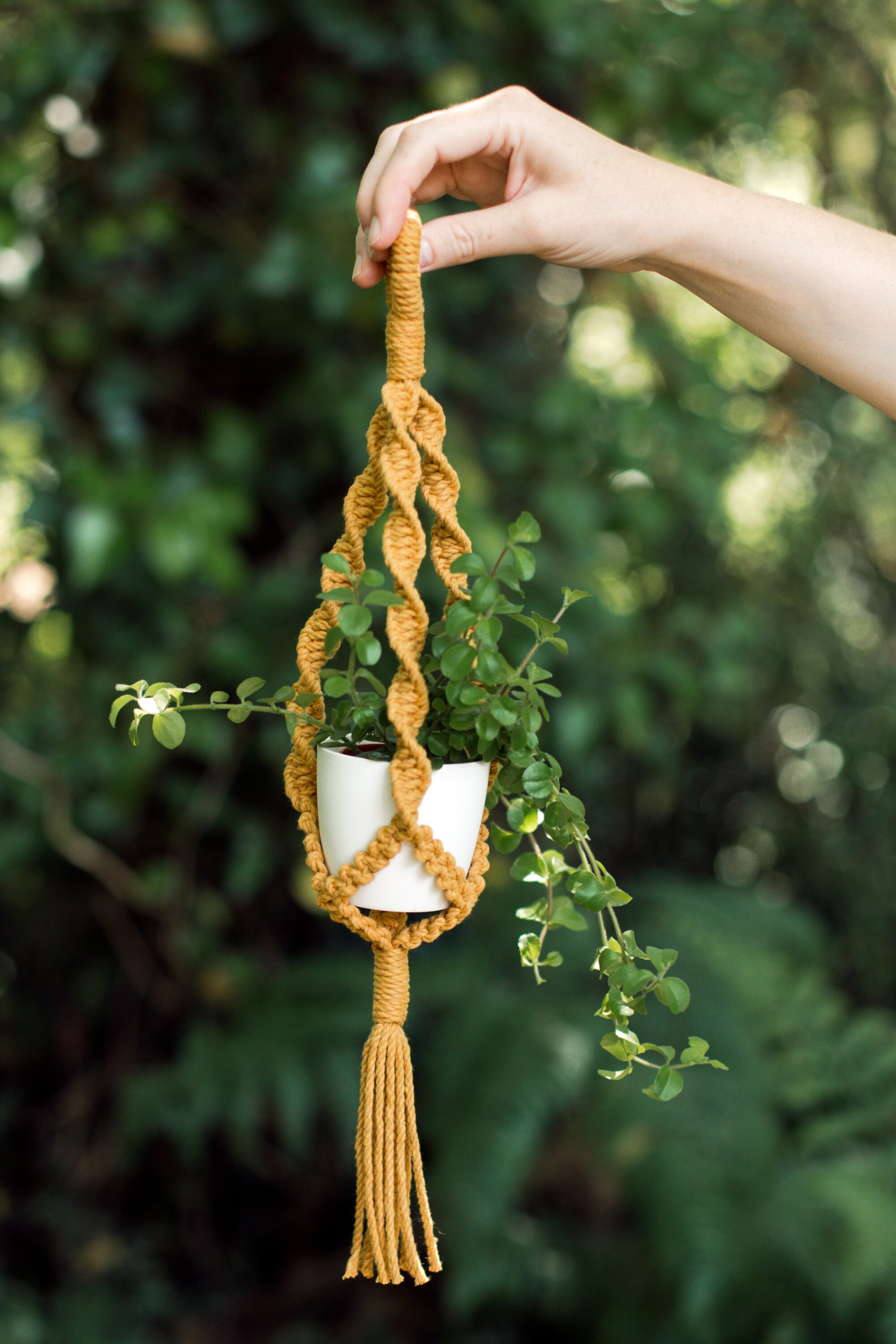 Petite Suspension Pour Plantes en Macramé - Coton 100% Recyclé Décoration d'intérieur Jaune, Vert, T