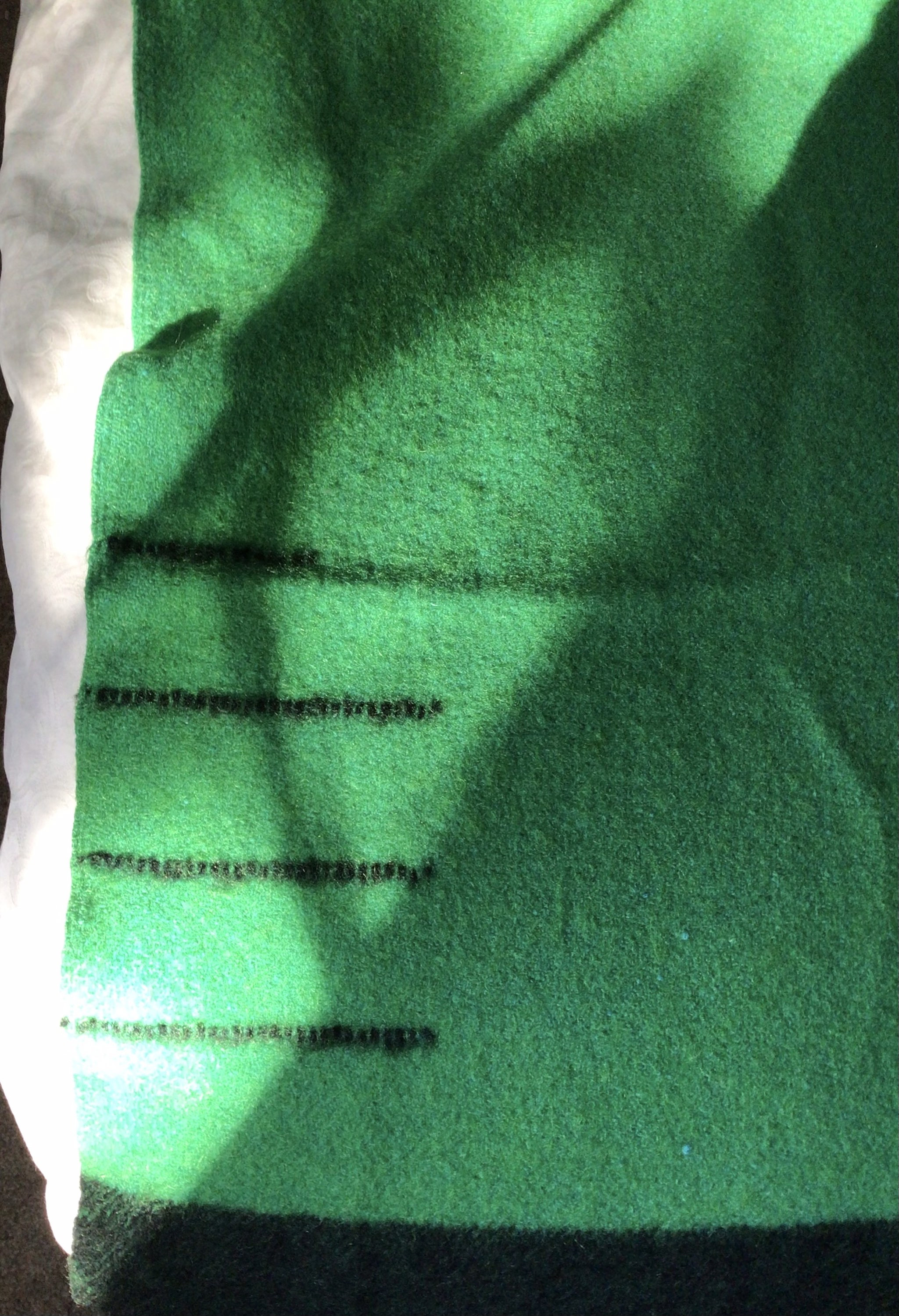 1920s Diamond E Trapper Point Wool Blanket Made in England Emerald