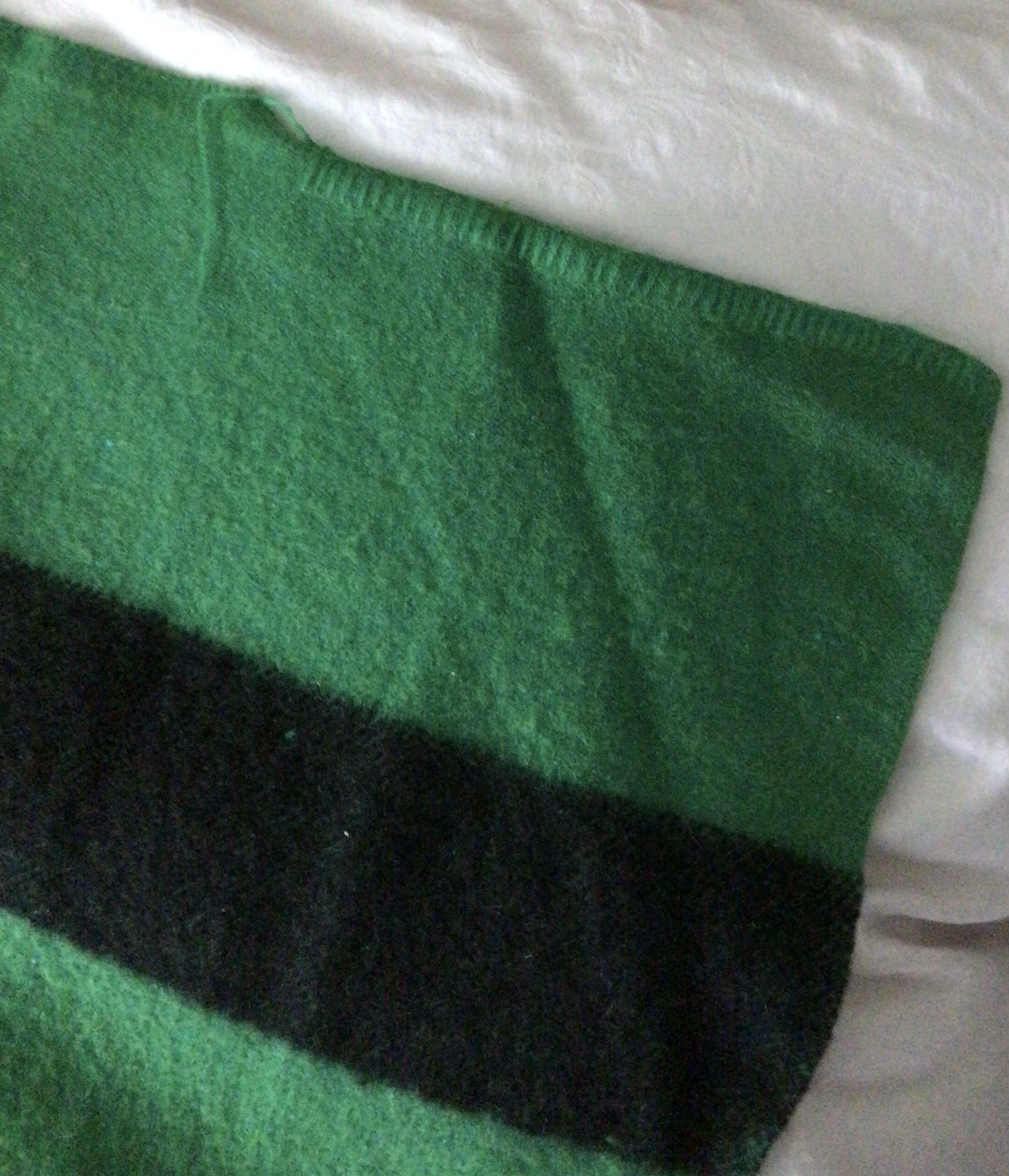 1920s Diamond E Trapper Point Wool Blanket Made in England Emerald