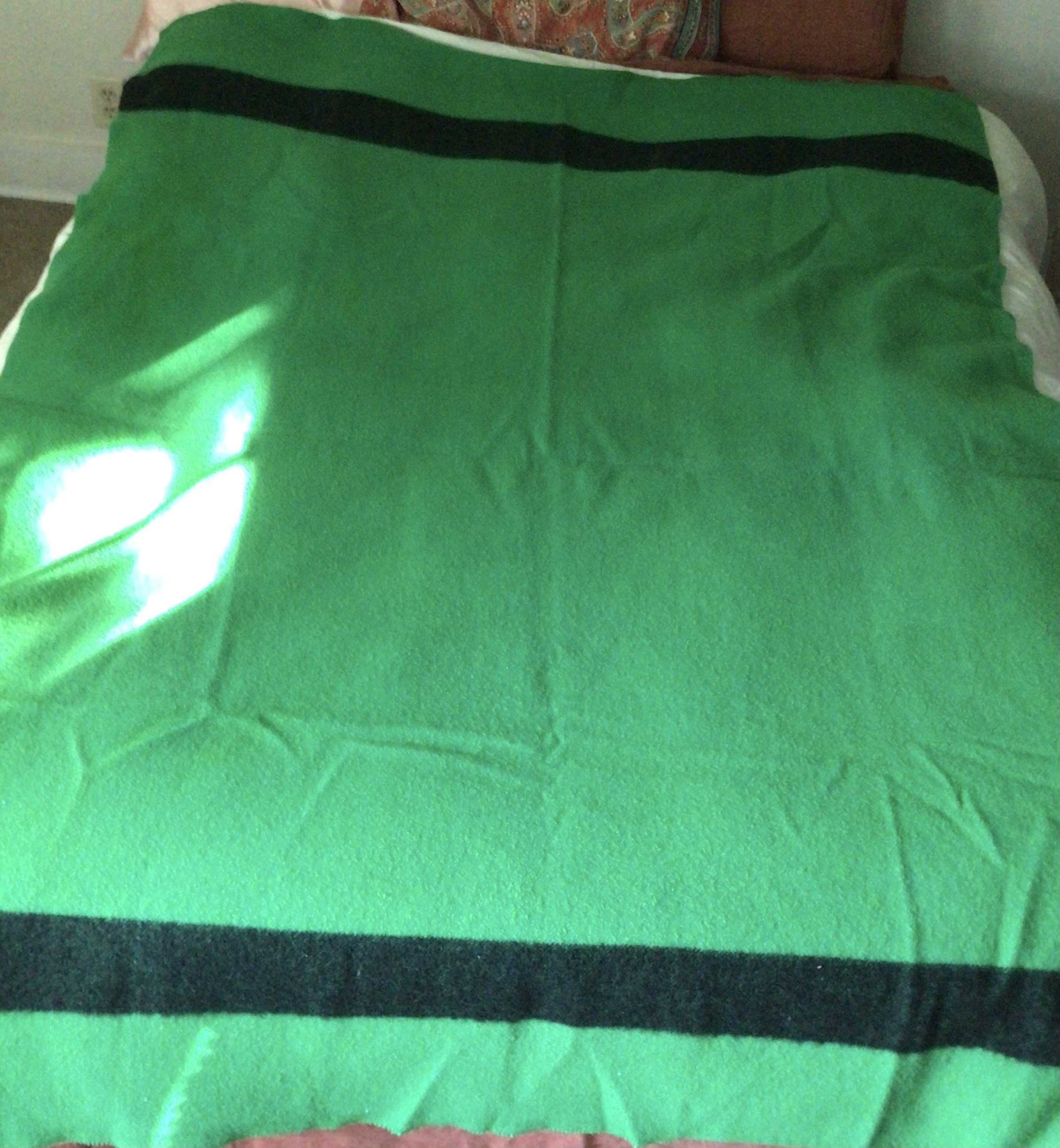 1920s Diamond E Trapper Point Wool Blanket Made in England Emerald