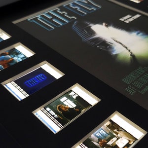 Collectible Film Cell Display | The Fly (1986)