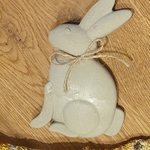 Può includere: Una statuetta di coniglio in cemento grigio con un fiocco di spago legato intorno al collo. Il coniglio è seduto su una superficie di legno.