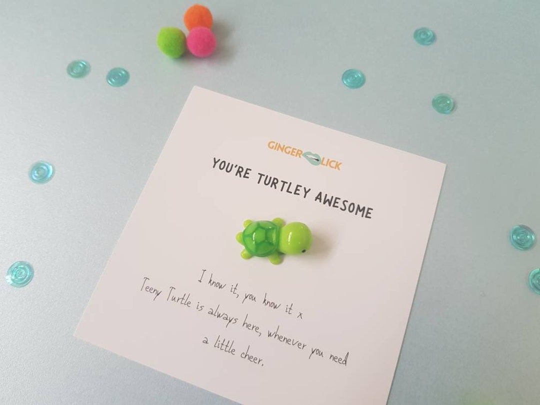 Thank You Gift | Cheer up Gift | You're Turtley Awesome | Turtle ...
