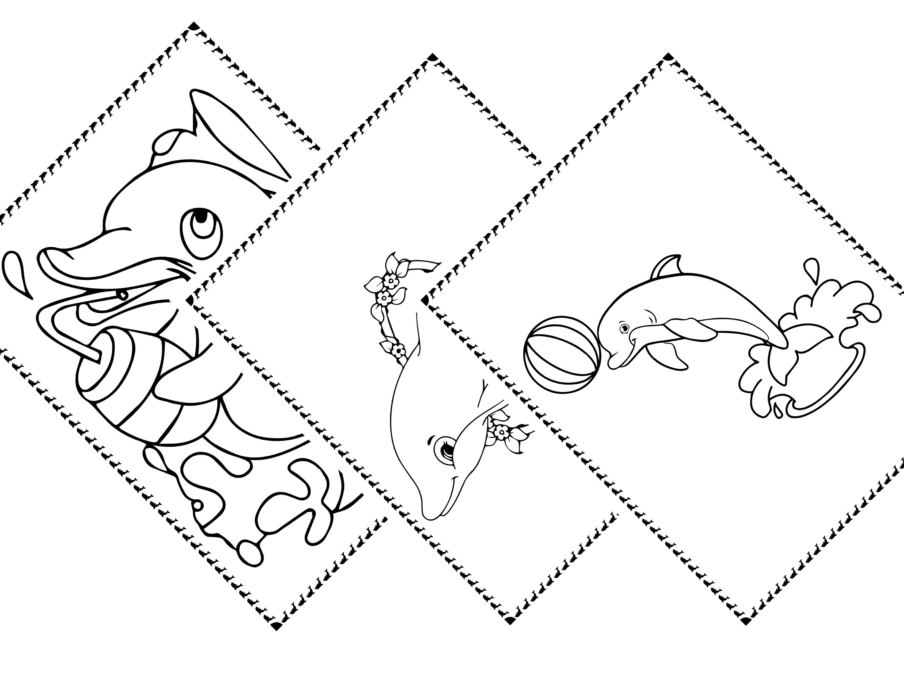 Dolphin Coloring Book KDP Interior An amazing coloring Book | Etsy