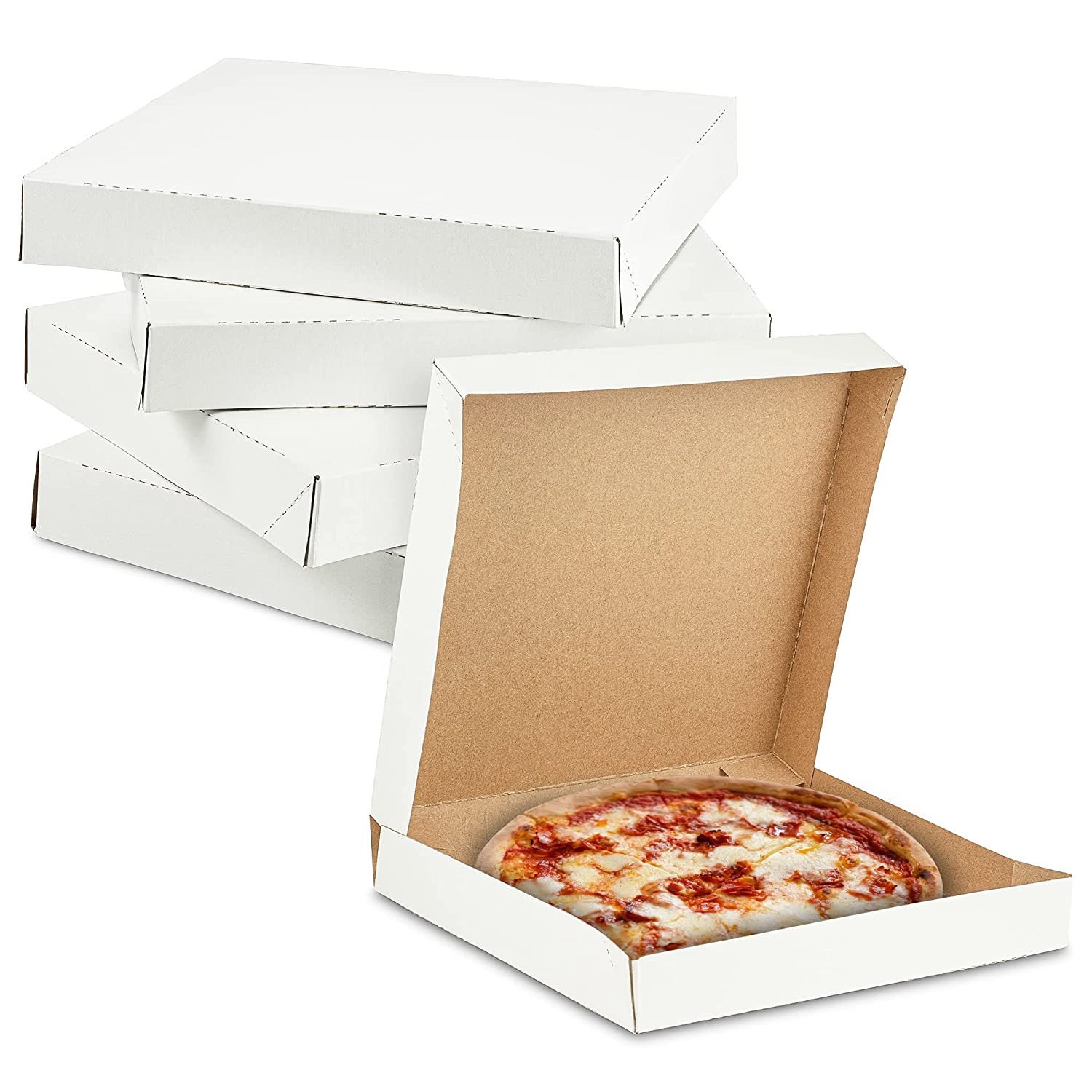 Pizza Container 