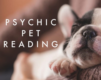 PSYCHIC PET READING | Past Pet Communication | Message From Lost Pet | Pet Soul Reading | Animal Communication | Pet Tarot Reading