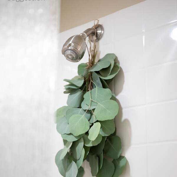 Eucalyptus Shower Bundle Etsy