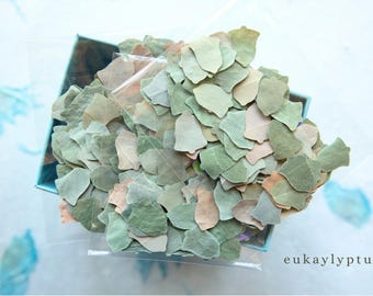 Bell-Shaped Eucalyptus Confetti | Biodegradable Table Scatter