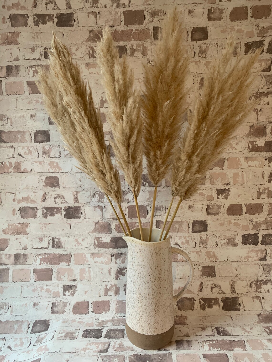 Natural Dried Large Pampas Grass Bohemian Decor Grown in Etsy