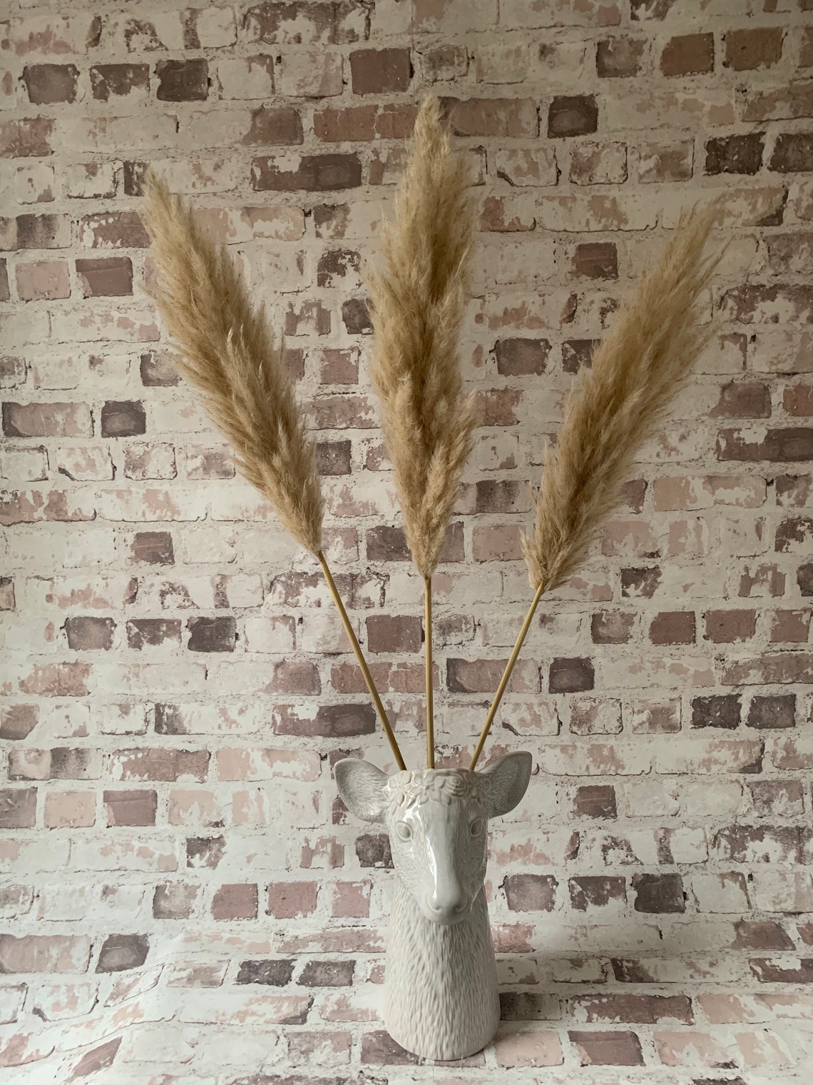 Natural Dried Large Pampas Grass Bohemian Decor Grown in Etsy