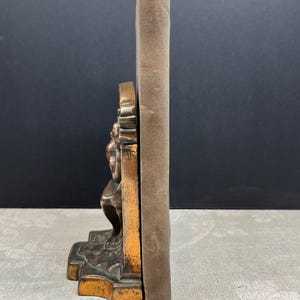 Spine of Bachelor Buttons