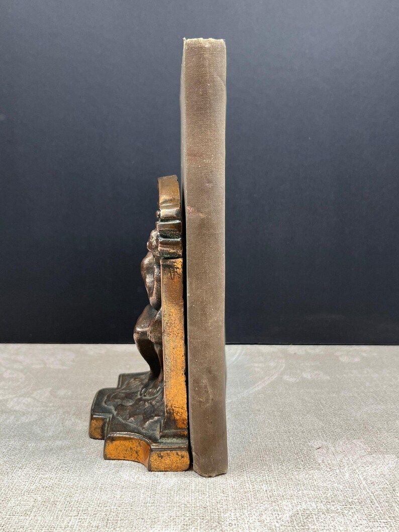Spine of Bachelor Buttons