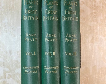 Ca. 1855 The Flowering Plants of Great Britain Pratt Botany Illustrated Flowers Horticulture