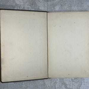 End papers of Bachelor Buttons
