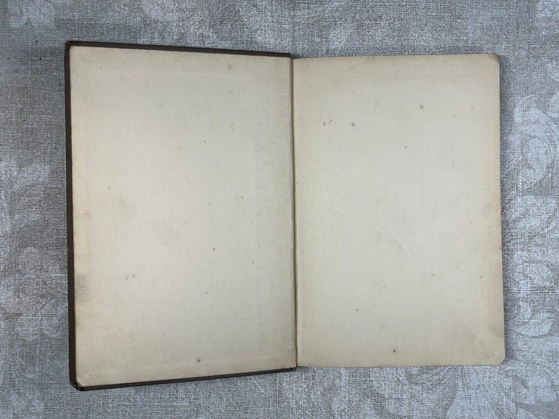 End papers of Bachelor Buttons