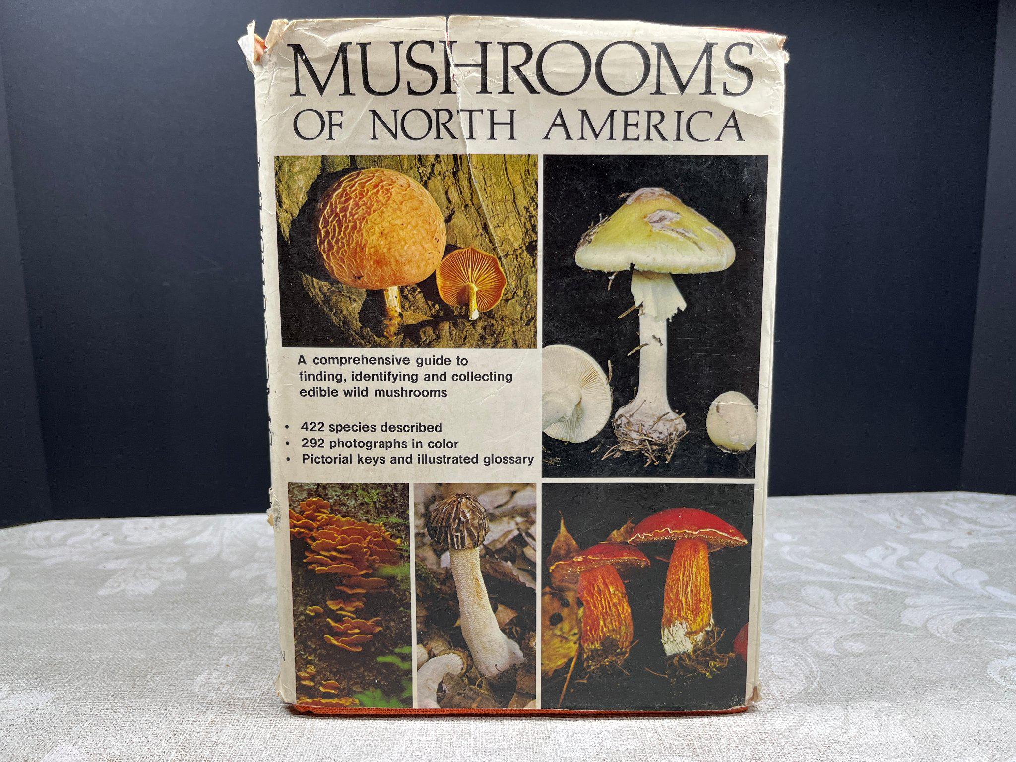 North America Mushrooms - Etsy