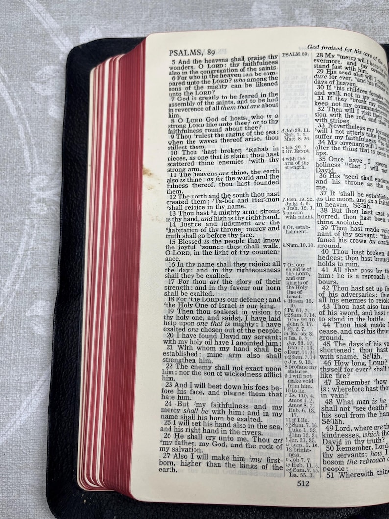 Puede incluir: Biblia abierta con bordes de p&aacute;gina rojos, que muestra el texto de Salmos 89. El libro est&aacute; encuadernado en cuero negro y est&aacute; abierto, revelando el texto y el lomo. Los bordes de las p&aacute;ginas son rojos.