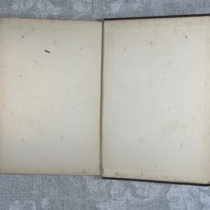 End papers of Bachelor Buttons